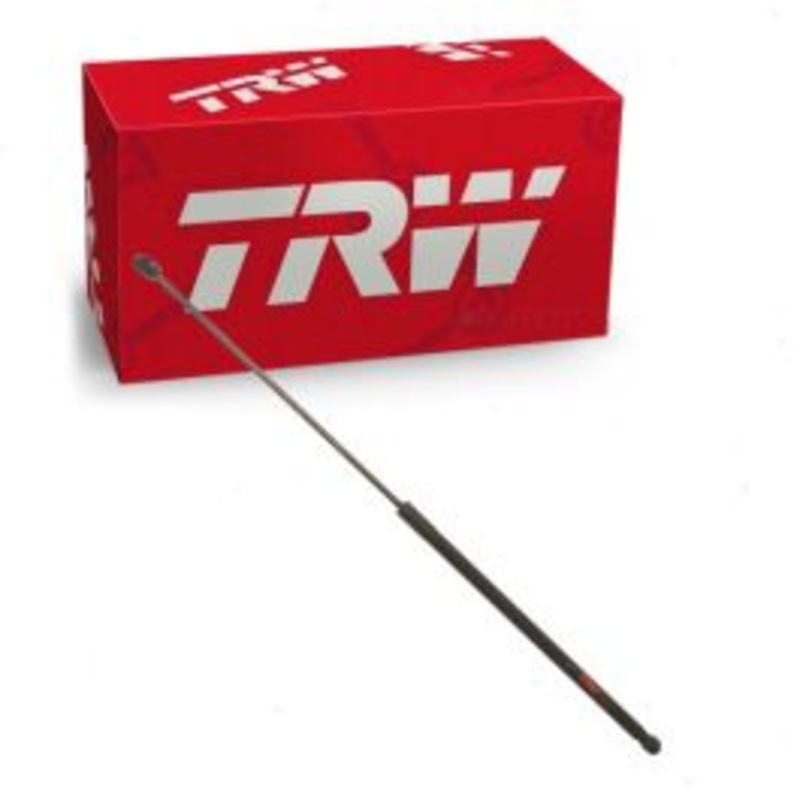 TRW Hood Lift Support for 2015-2017 Volkswagen Golf SportWagen 1.8L 2.0L L4