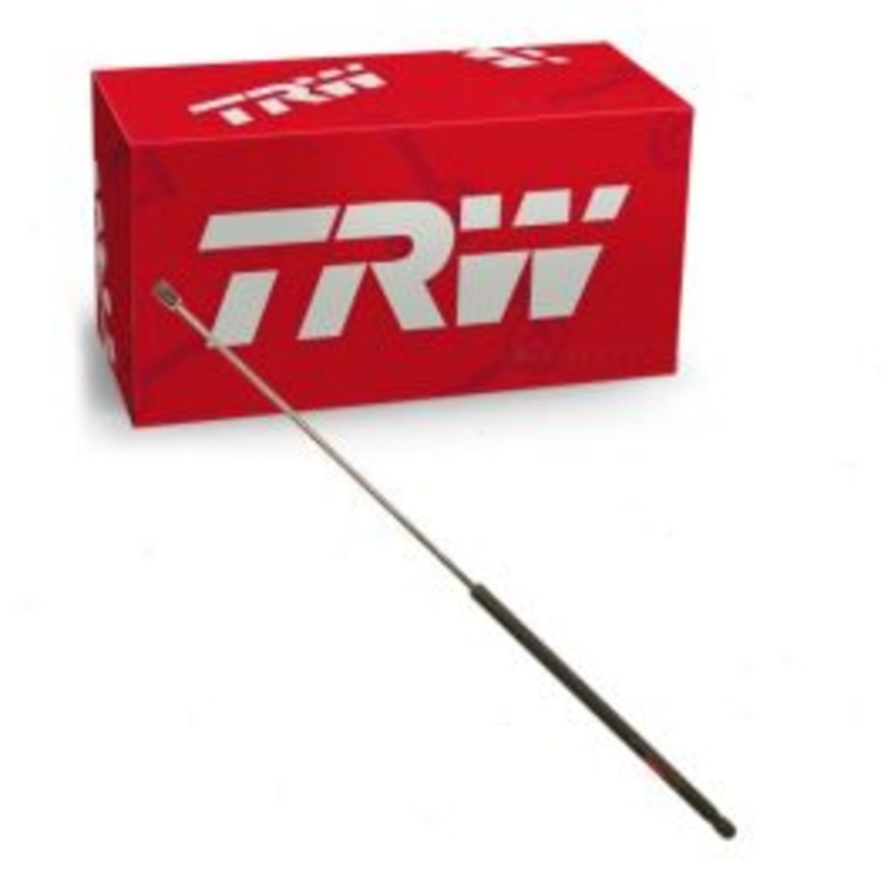 TRW Hood Lift Support for 2006-2011 Buick Lucerne 3.8L 3.9L 4.6L V6 V8
