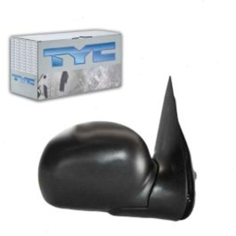TYC 3020041 Door Mirror