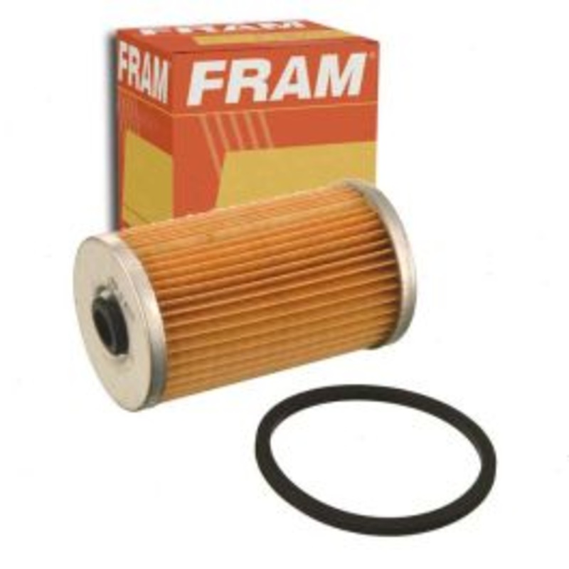 FRAM Fuel Filter for 1965-1967 Ford LTD