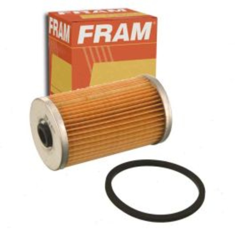 FRAM Fuel Filter for 1975-1978 Dodge B100