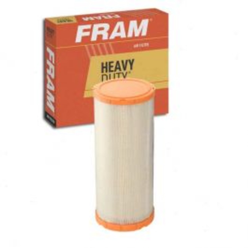 FRAM Heavy Duty CA9246 Air Filter