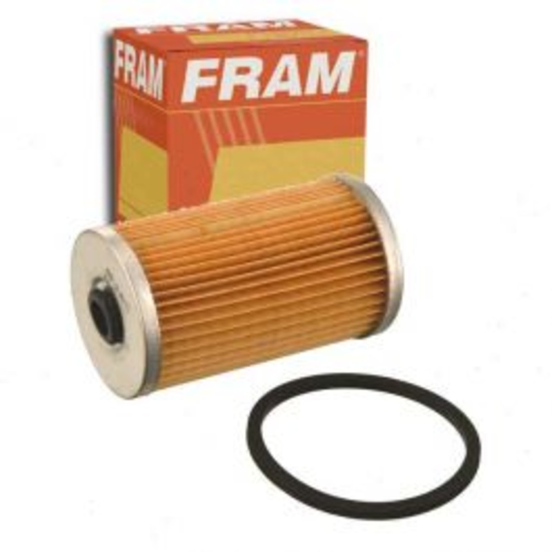 FRAM Fuel Filter for 1977 Dodge W150