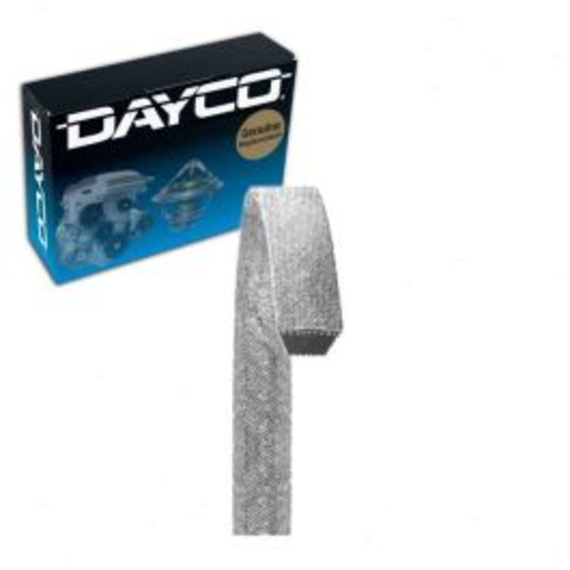 Dayco L542 Accessory Drive Belt