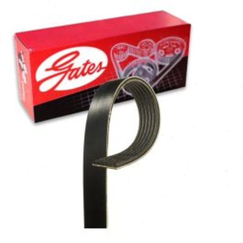 Gates Micro-V Supercharger Serpentine Belt for 2004 Ford F-150 Heritage 5.4L V8