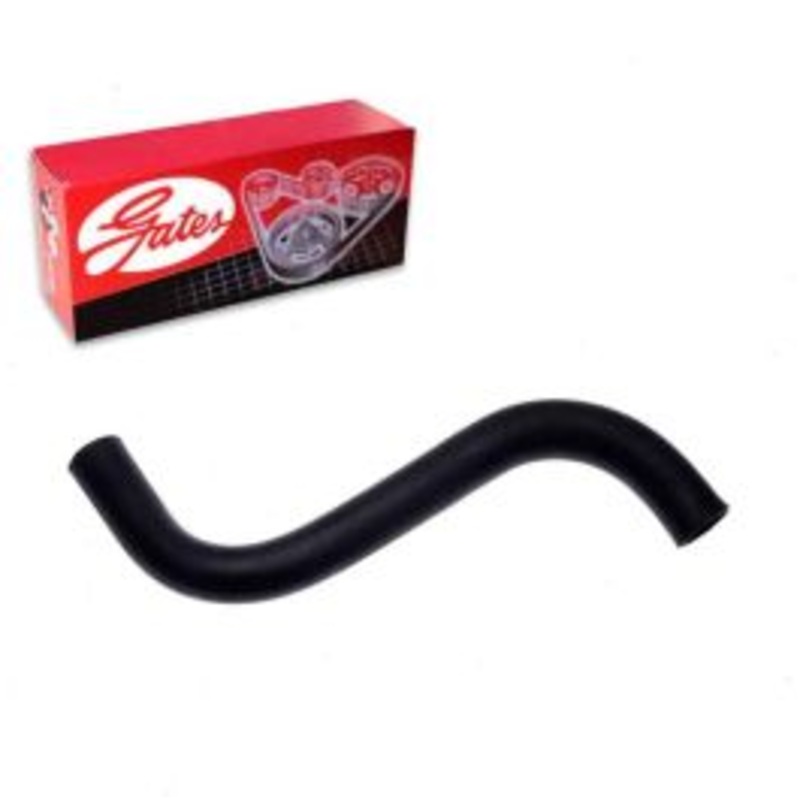 Gates Upper Radiator Coolant Hose for 1980 Dodge Omni 1.7L L4