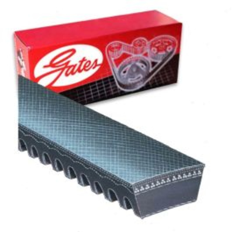 Gates 6560 Accessory Drive Belt