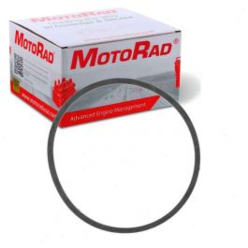 MotoRad MG186 Coolant Thermostat Seal