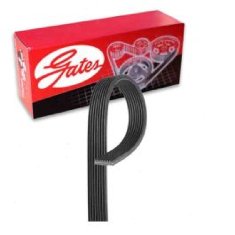 Gates Micro-V Supercharger Serpentine Belt for 2015-2017 Jaguar F-Type 3.0L V6