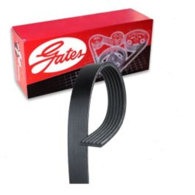 Gates Stretch Fit Micro-V AC Serpentine Belt for 2011-2019 Ford Mustang 5.0L 5.2L V8