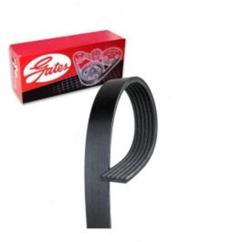 Gates Micro-V Serpentine Belt for 2015-2016 Ford Police Interceptor Utility 3.5L V6