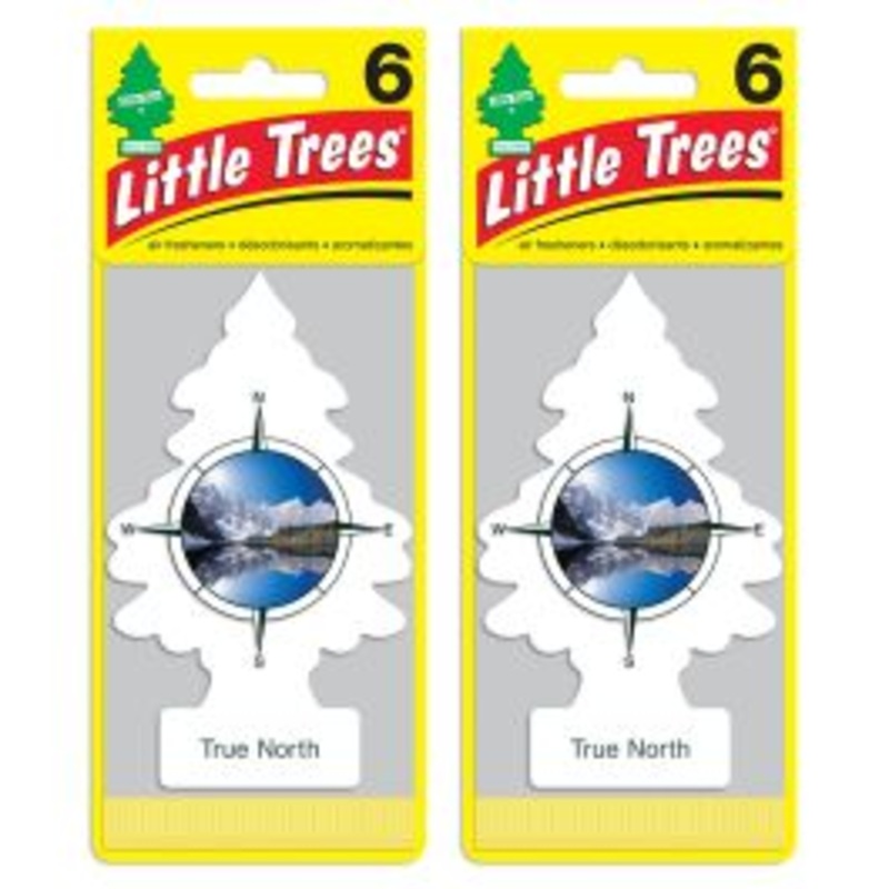 Little Trees True North Air Freshener for Car and Home - 12 pack